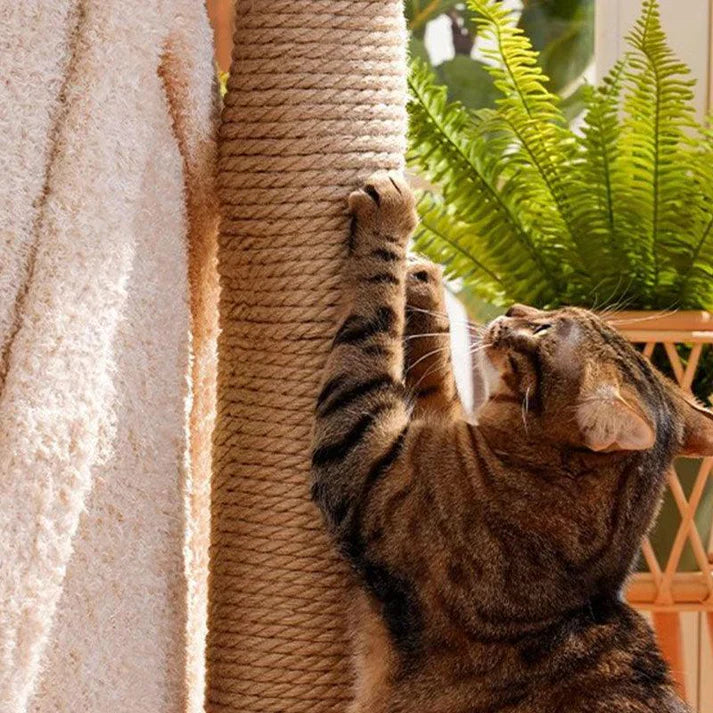 Torre Felina Premium - Feita para seu pet brincar e explorar