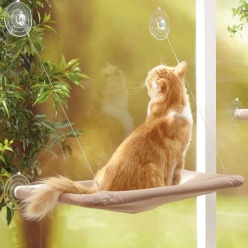 Cama de janela para gatos