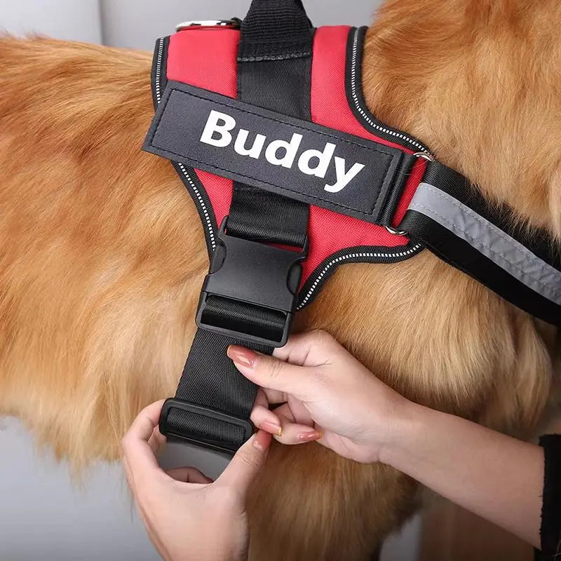 Peitoral personalizavél para pets