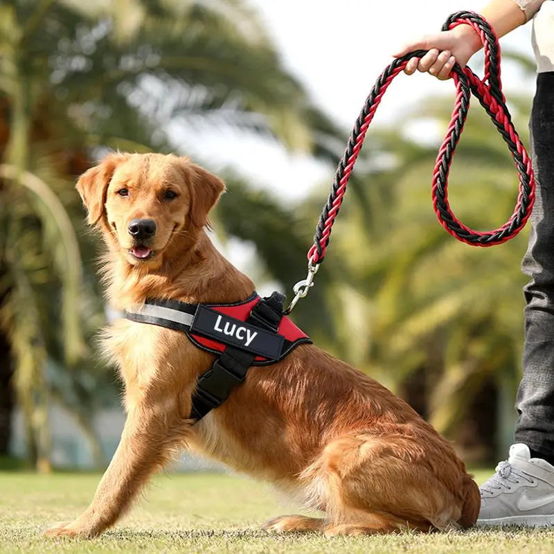 Peitoral personalizavél para pets
