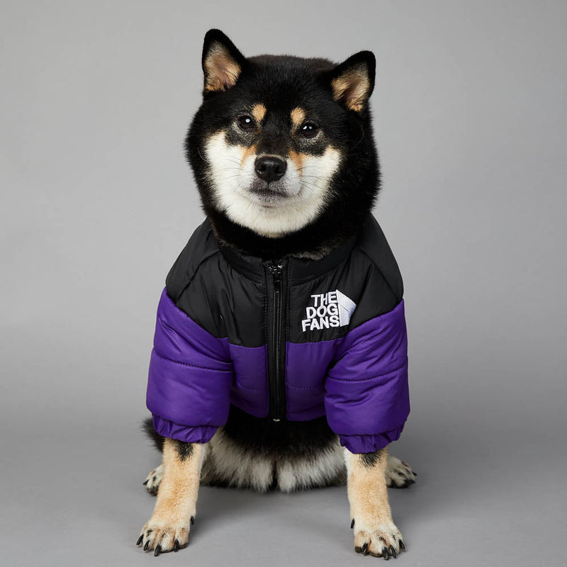 Jaqueta the dog fans - casaco para cachorros