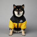 Jaqueta the dog fans - casaco para cachorros