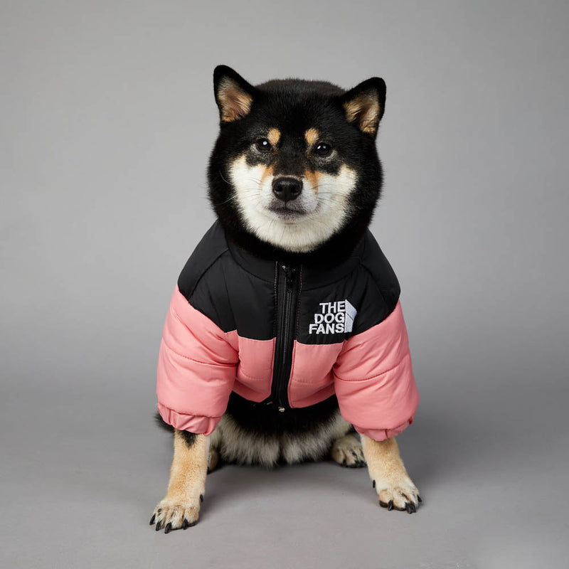 Jaqueta the dog fans - casaco para cachorros