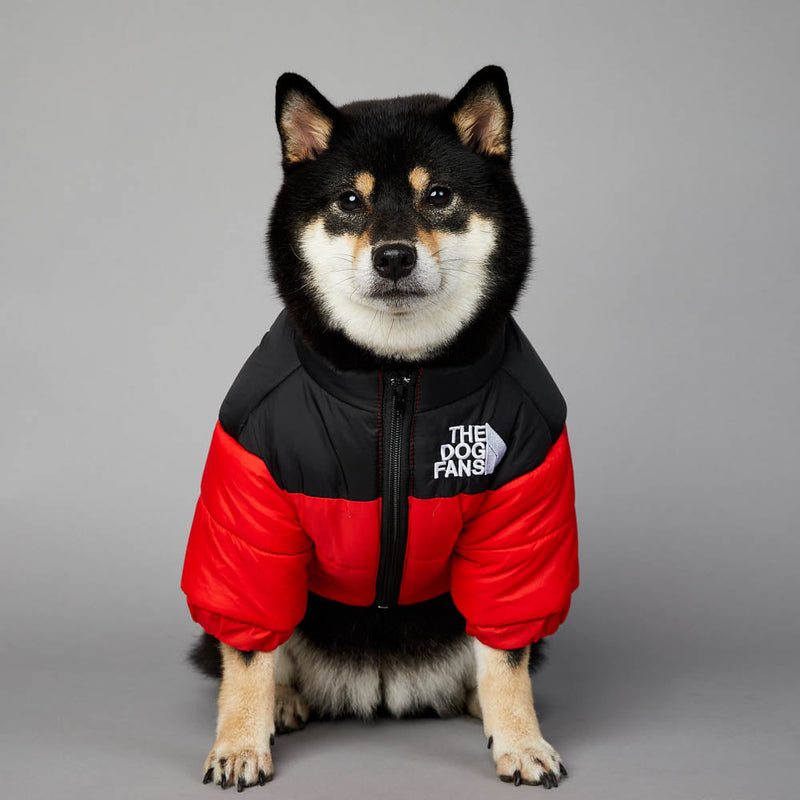 Jaqueta the dog fans - casaco para cachorros