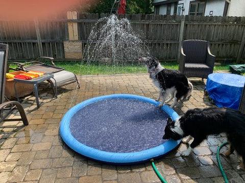 PetPool - Piscina com chafariz