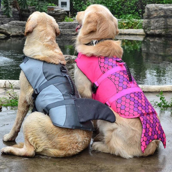 Colete salva vidas cachorro