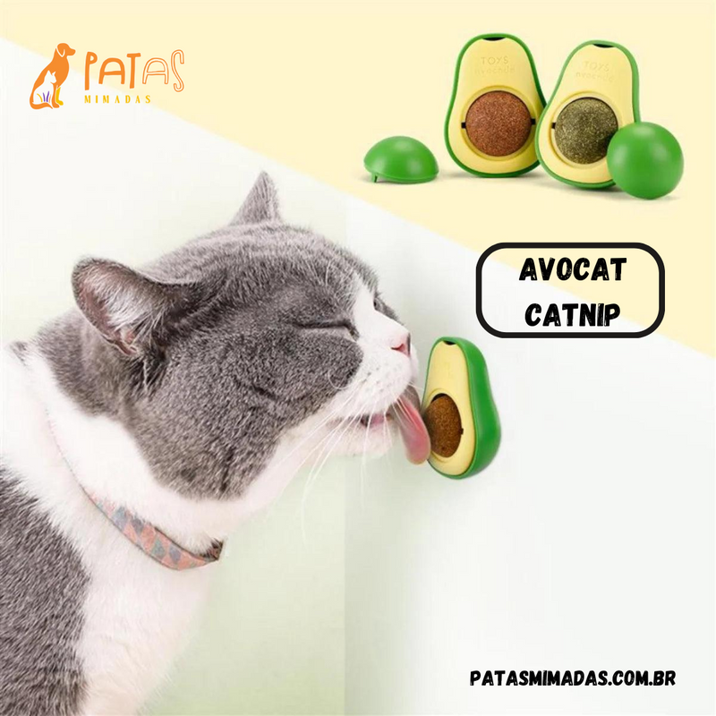 Avocat catnip para gatos