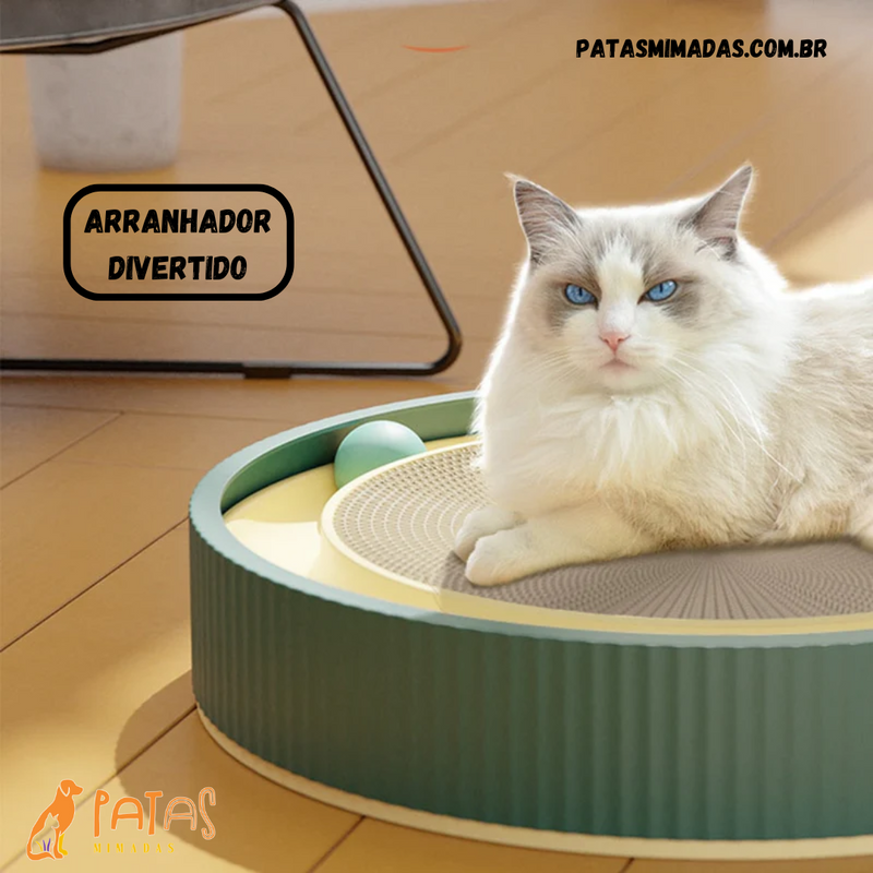Arranhador Divertido