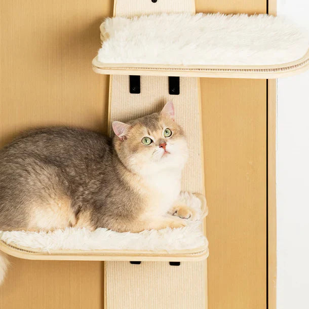 SkyCat Lounge – Torre de Porta para Gatos