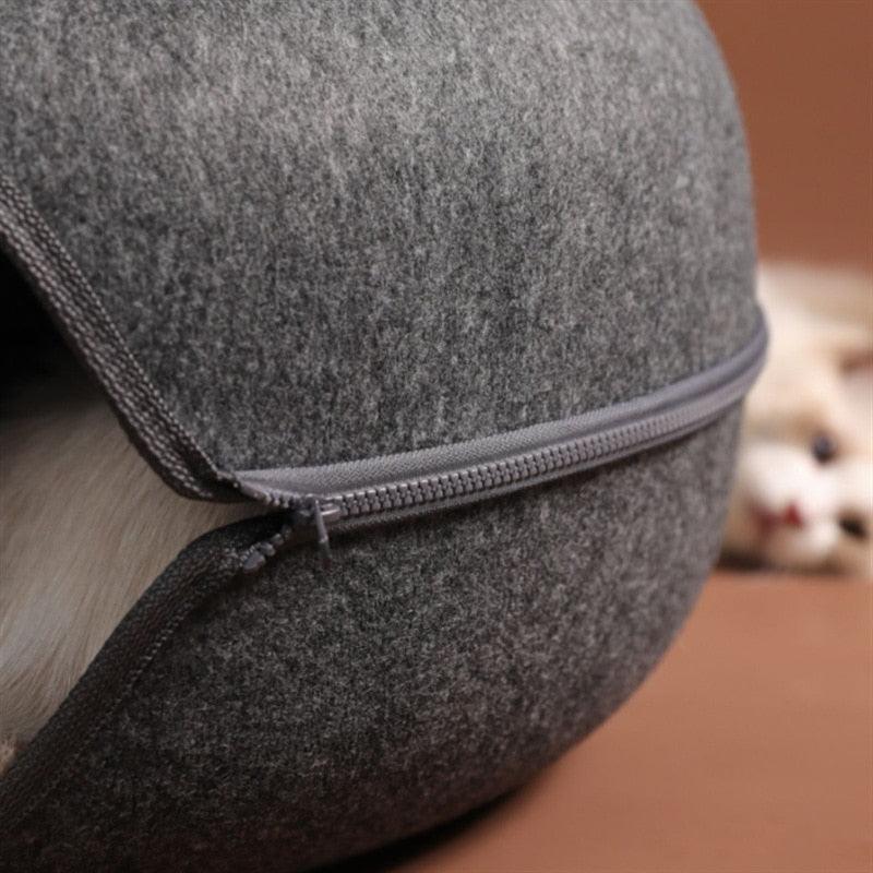 Túnel caminha para gatos