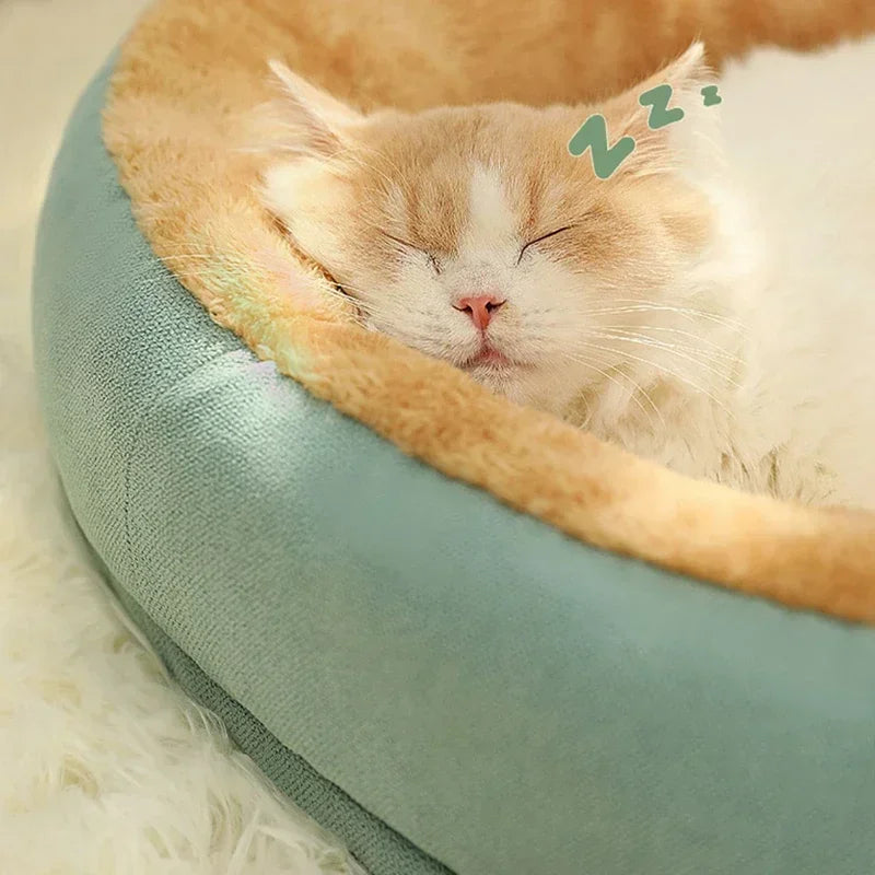 Caminha de inverno para pets