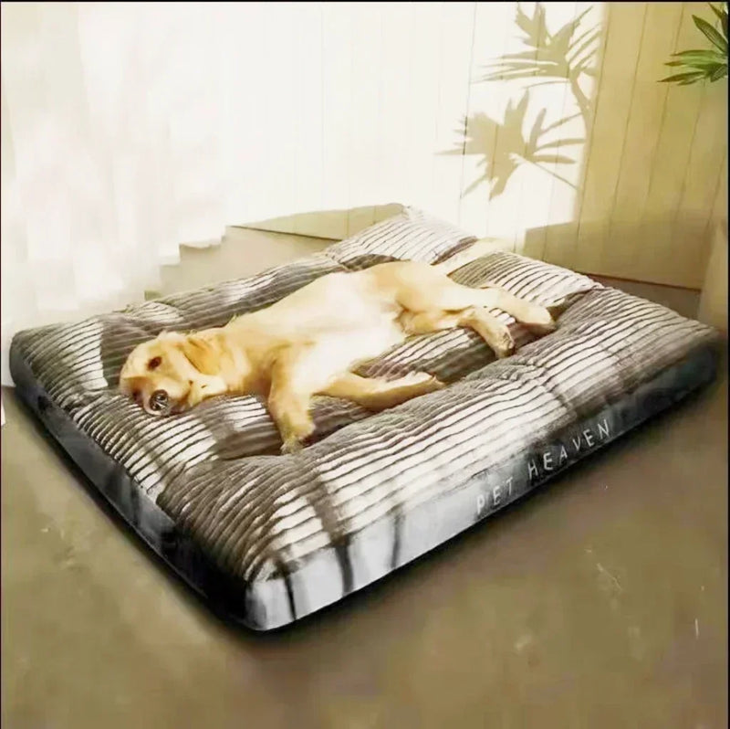 Cama confortável para pets