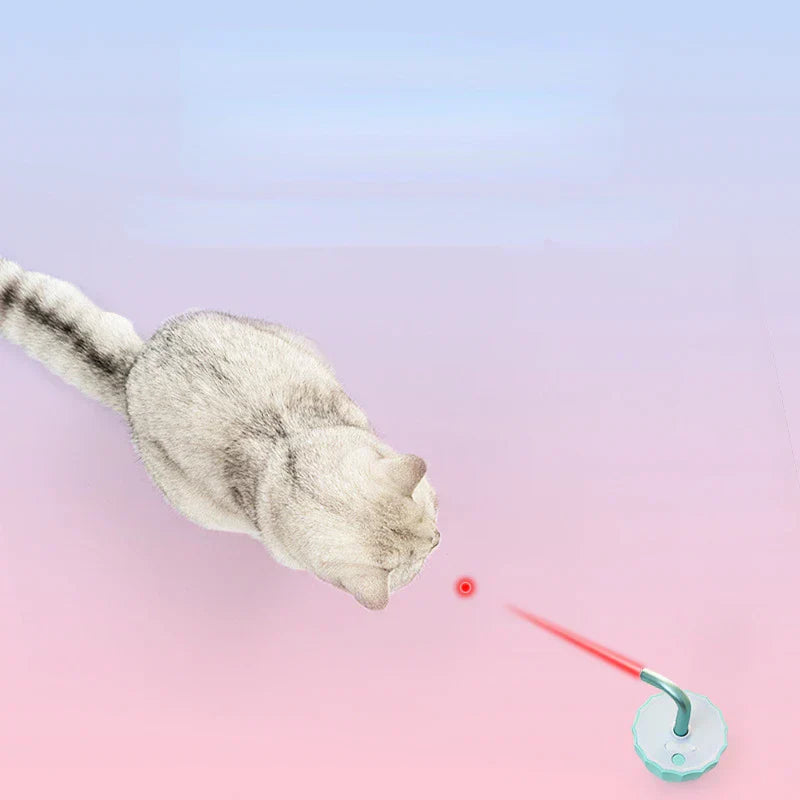 Laser interativo para gatos