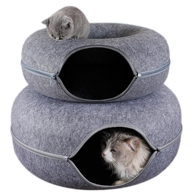 Túnel caminha para gatos