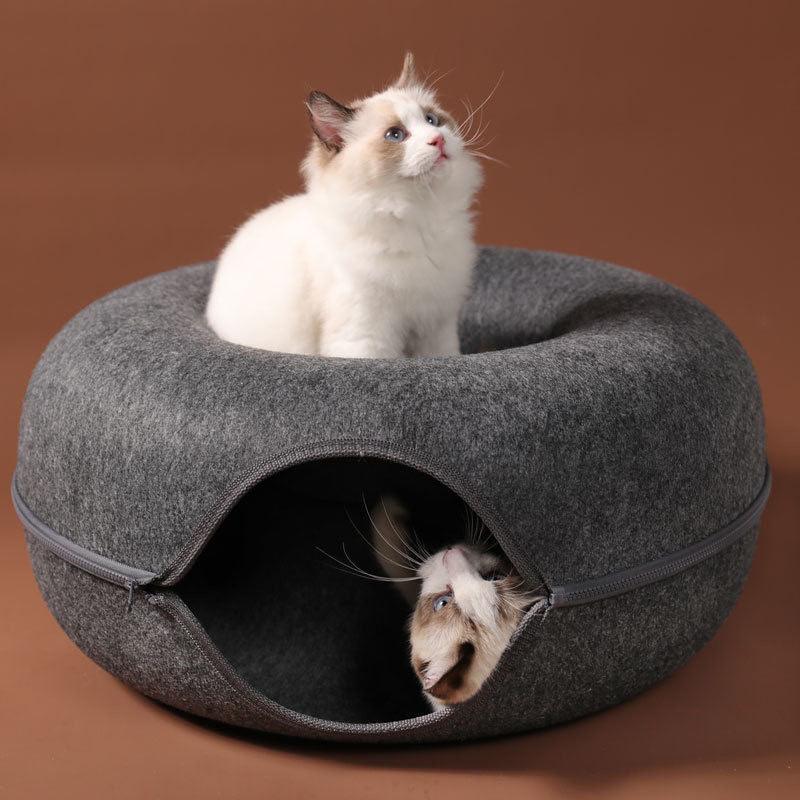 Túnel caminha para gatos