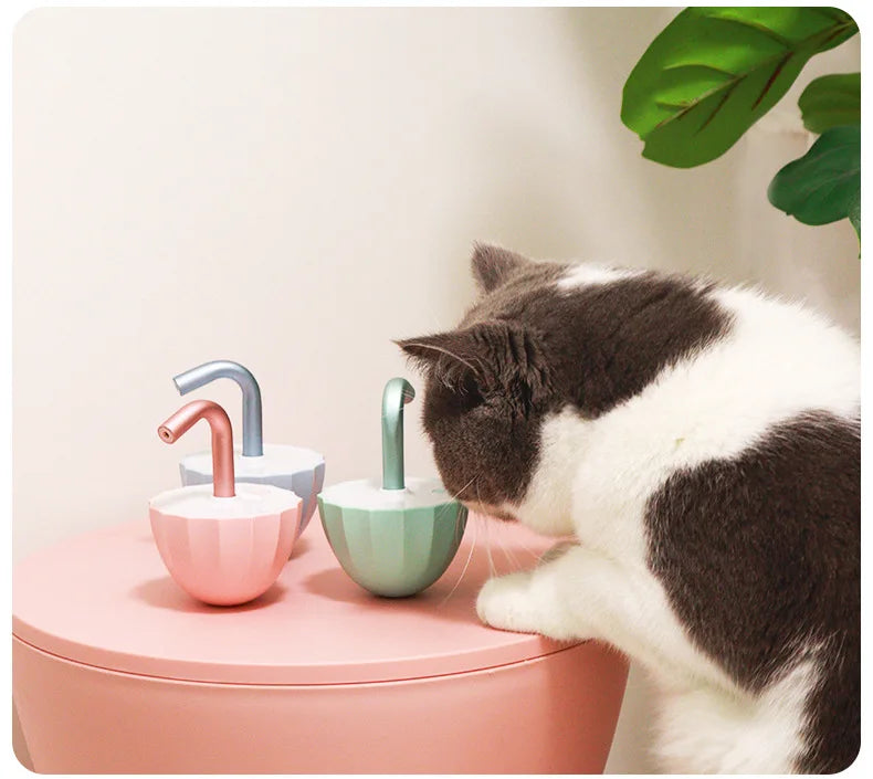 Laser interativo para gatos
