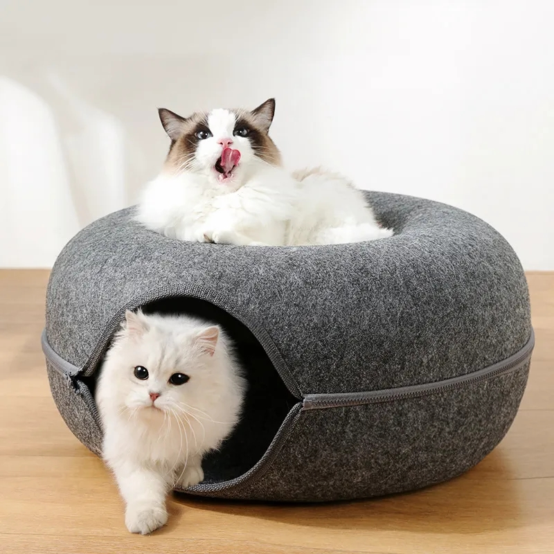 Túnel caminha para gatos