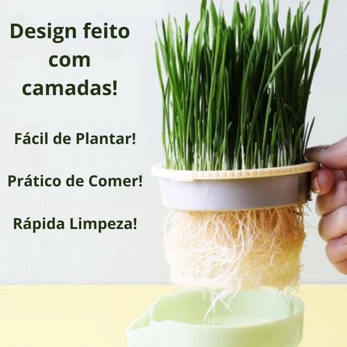 Cat Snack - Compre dois por R$139,85