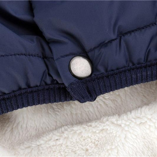 Colete de frio para cachorros