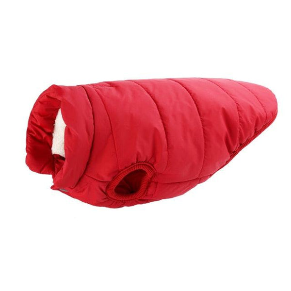 Colete de frio para cachorros