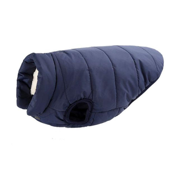 Colete de frio para cachorros