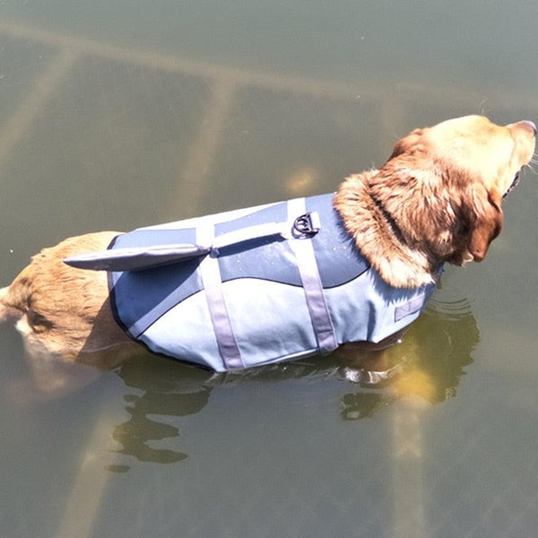 Colete salva vidas cachorro