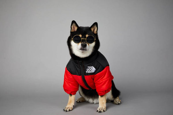 Jaqueta the dog fans - casaco para cachorros
