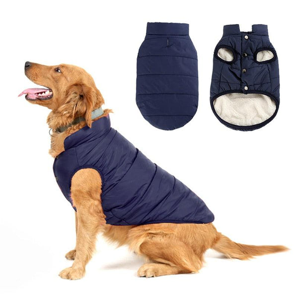 Colete de frio para cachorros
