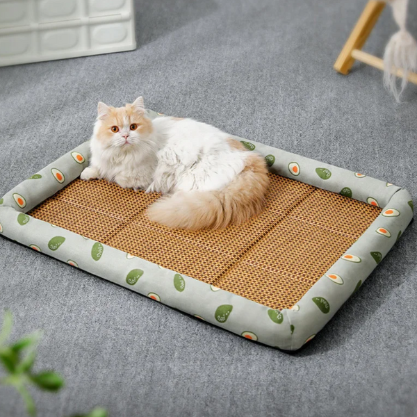 Cama Rattan Refrescante